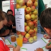 17.7.2011 Fanfest vom FC Rot-Weiss Erfurt_04